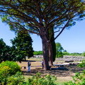 DSC_7765.jpg
