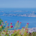 DSC 7691