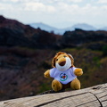 DSC_7716.jpg
