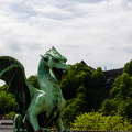 DSC 0110
