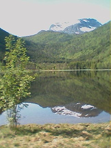 aaa