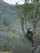 aax