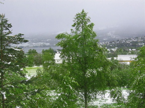 aas