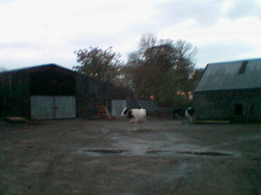 adq