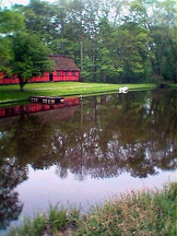 aav
