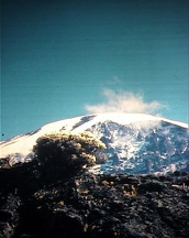 aae