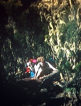 aco