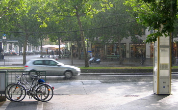 IMG_0318 copy.jpg