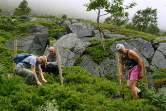 Anders, Ole Johs. og Rune et blåbær i Stoa