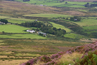 Gardsbruk i Wicklow-heiane