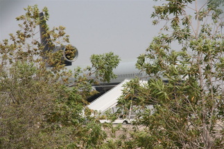 Plane in the backyard