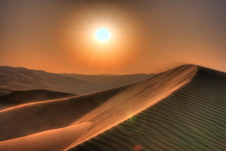 Sand dune in Liwa close to sunset