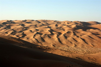 Dune landscape