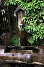 IMG_4590
