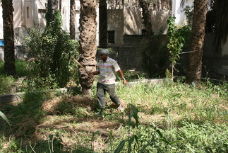 IMG 7147