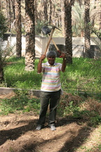 IMG 7167