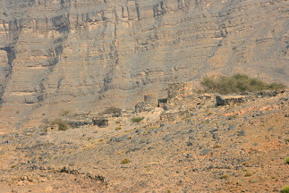 IMG 7259