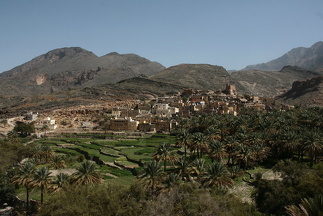 IMG 9134