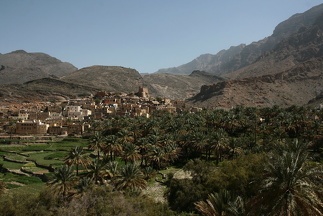 IMG 9137