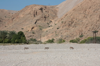 IMG 7793