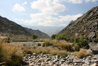 IMG 7536