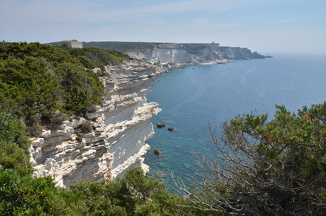 DSC 5665