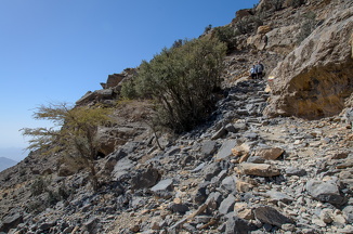 DSC 3026