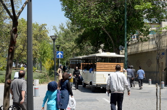 DSC 4262