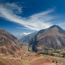 DSC 3336-2