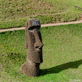 Moai at Rano Raraku