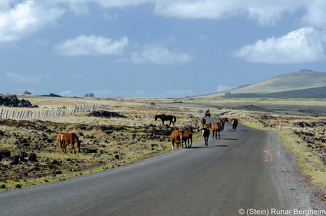Souther coast of Easter Island