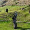 Moai at Rano Raraku
