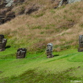 Moai in Rano Raraku crater