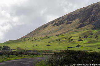 Rano Raraku