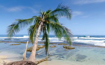 Into the Carribbean