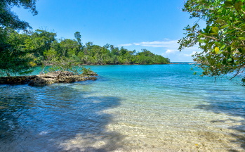 "The Pool" a hidden jungle beach, Isla Colon, Bocas del Toro 