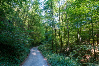 img20200913-132339-DSC01040
