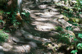 img20200913-133012-DSC01051