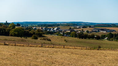 img20200913-145908-DSC01115